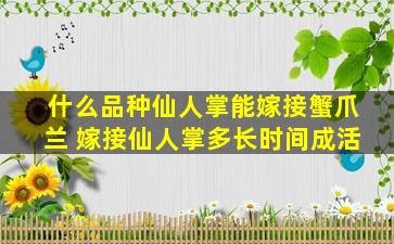 什么品种仙人掌能嫁接蟹爪兰 嫁接仙人掌多长时间成活